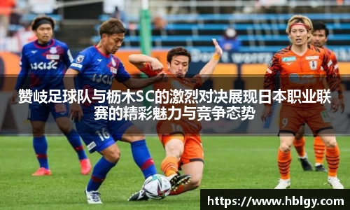 DB旗舰